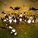 私密教学无遮羞无删减:探索真实与隐秘的知识世界 039eb68h