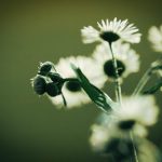 画江湖之不良人6:江湖纷争再起,英雄豪杰齐聚一堂 7b75iz2