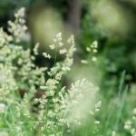 秀人集林星阑画语界:探索艺术与自然交融的奇妙旅程 jowd4hx3