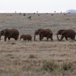 种子搜索引擎1207:探索无限资源的全新网络工具 ny9na