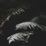 画江湖在线观看:畅享精彩剧情与热血战斗的动画盛宴 r882e7nmxg