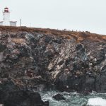 种子下载网站:探索高效安全的种子资源获取平台 wl3i1qyqhf